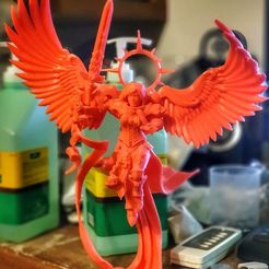 Undying Saint with wings