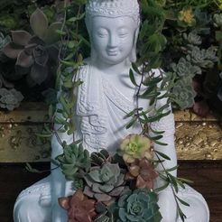 IMG-20201004-WA0004[1].jpg Thai Buddha potted plant
