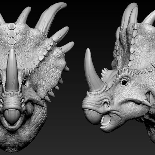 Triceratops Head - 3D model önizlemesi