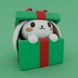 R01.jpg Christmas Special - Gift Box ( Bunny Box )