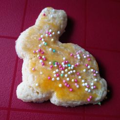 IMG_20170414_102422.jpg Cookie-Cutter Bunny