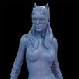 SGProyect07.jpg Catwoman (Selina Kyle) from The Dark Knight Rises Movie