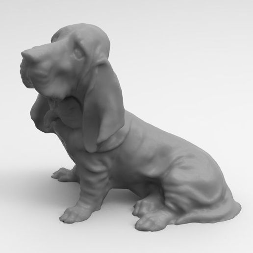 perro-2.jpg Bloodhound