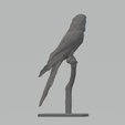 4.png STL-Datei Papageienbaum 3D-Druckmodell・3D-druckbare Vorlage zum herunterladen