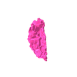 9.png White matter of right temporal lobe SEGMENTED