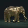 Elephant_Pose_Cy-0001.png Asian Elephant