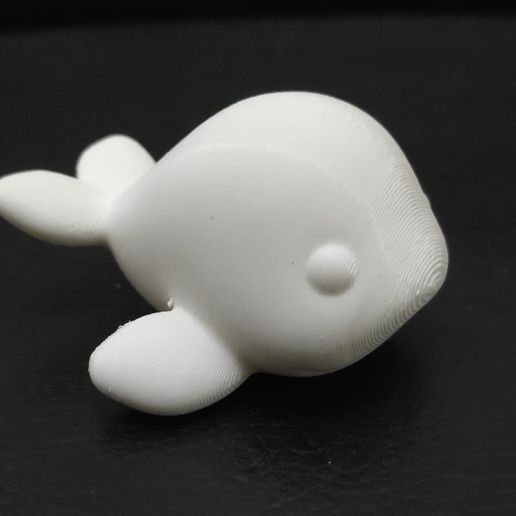 Cod2799-Beluga-Whale-11.jpeg Archivo 3D Ballena Beluga・Modelo de impresora 3D para descargar, Usagipan3DStudios