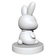 Rabbit3.jpg Rabbit