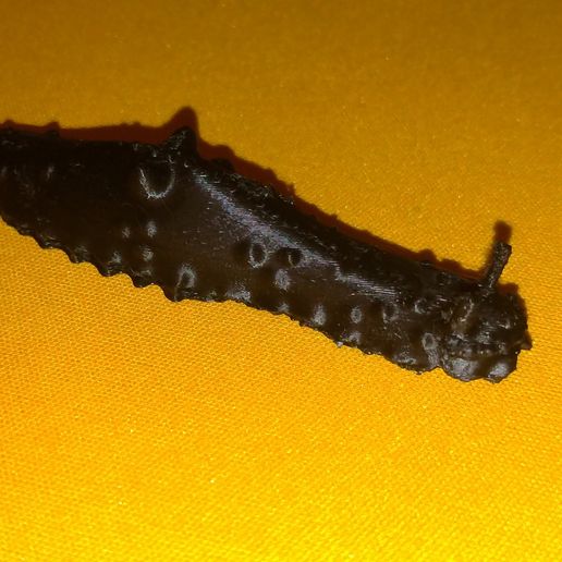 6.jpg Toni - radioactive sea snail