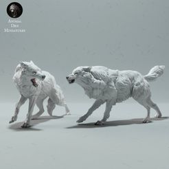arctic_wolves_fight_1.jpg Fichier STL Les loups de l'Arctique se battent・Plan à imprimer en 3D à télécharger
