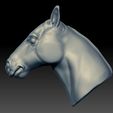 Horse-head-left.jpg horse's head