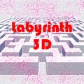 Labyrinth3D