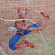 IMG_20221021_090309_392.jpg Spider-Man: Friend or Foe Complete Action Figure