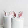 47b41715d41bc81ec7280ac58d3acee4.jpg Easter bunny cookie bowl