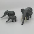 IMG_4256-(2).jpg African Elephant Mama & Babies
