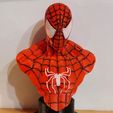 Bust Spiderman