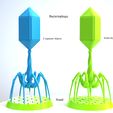 5.jpg Virus Bacteriophage miniature 3D print model