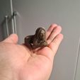 Imagem-do-WhatsApp-de-2025-10-29-a-s-11.18.50_eb2aaddf.jpg Jack Sparrows Netsuke Meerjungfrauenanhänger + Schlangenknochen
