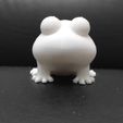 Cod1929-Cute-Little-Frog-5.jpeg Cute Little Frog