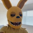 Spring Bonnie full suit