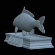 carp-statue-30.png fish carp / Cyprinus carpio statue detailed texture for 3d printing