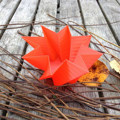 Capture_d__cran_2014-12-22___10.26.28.png Free STL file Star Bowl - Bol étoile・3D printer design to download