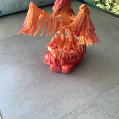 Flexi Print-in-Place Phoenix