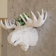 elk-wall-planter-low-poly.png Elk moose wall mount planter pot flower vase 3d print file