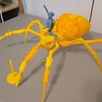 4.jpg Grounded 2- Max and Orb weaver Spider
