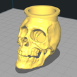 foto.png Skull shaped container