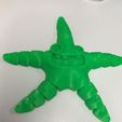 Cute Flexi Print-in-Place Starfish