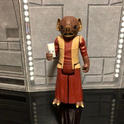 eeoereeereeneet ee errr ree reerratereowore peer een tcn news pein yeeros Ripa tee ee ako | Aelia erecta Fichier STL KABE VINTAGE CUSTOM STAR WARS ACTION FIGURE, KENNER 3.75", 6" CREATURE CANTINA ALIEN PATRON, 5 POA, 1/18, 1/6・Design pour impression 3D à télécharger