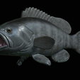 White-grouper-open-mouth-statue-69.png fish white grouper / Epinephelus aeneus open mouth statue detailed texture for 3d printing