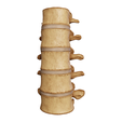 spine_001.png Anatomical  Spine model