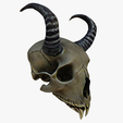 model-3.png Horned animal skull