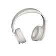 10001.jpg headphones