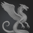 Amphithere-1.png Amphithere – Winged Serpent Dragon V2