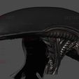08.jpg Alien Xenomorph Head Decor Wearable Cosplay