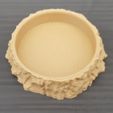3D Scanned Tree Texture - Birch Coaster 1000.jpg Free STL file 3D Scanned Birch Tree Texture - For Functional and Decorative Items・3D printable model to download