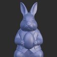 WhatsApp-Image-2026-01-17-at-23.25.08-1.jpeg Easter Guardian Rabbit