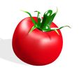 2.jpg TOMATO FRUIT VEGETABLE FOOD 3D MODEL - 3D PRINTING - OBJ - FBX - 3D PROJECT RED TOMATO FRUIT VEGETABLE FOOD