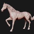 03.jpg American Quarter Horse model 3D print model