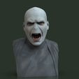 2.jpg Harry Potter - Voldemort