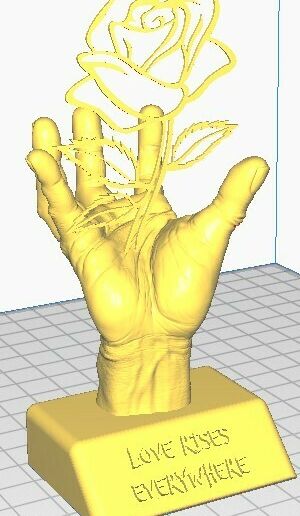 Rosa-en-mano-CURA.jpg Rose in hand