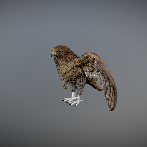 🦅 hawk 3d model 3d printable・ 3D File for ・Cults