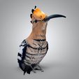 untitled.5640.jpg The hoopoe 3D model