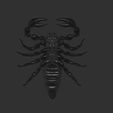 s2.jpg Scorpion STL