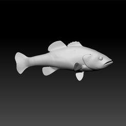 f3.jpg fish
