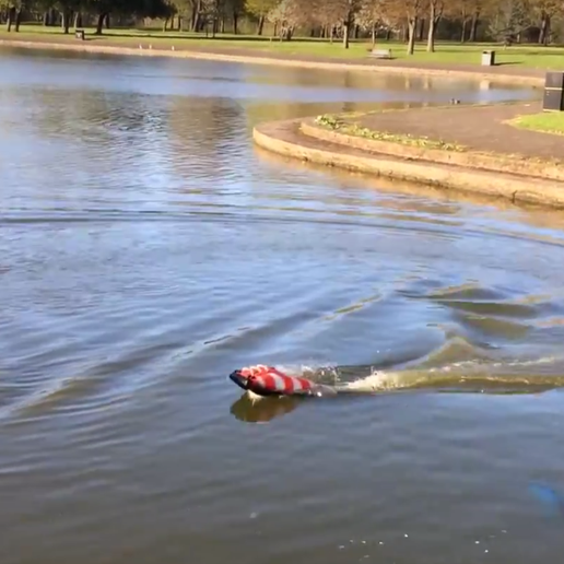 bait boat 1.png 3D Printed Bait / Camera / Tug Boat