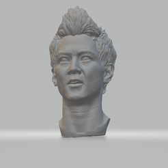 1.png Файл STL 3D-печатная модель головы Даниэля Ву・Модель для печати в 3D скачать